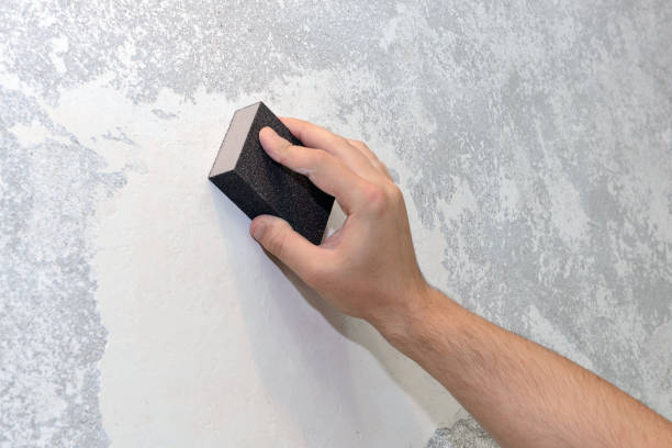 Best Mold Damage Restoration  in Yorketown, NJ