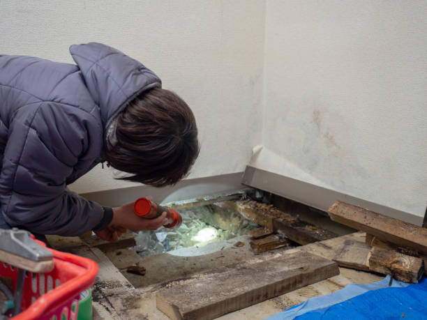 Best Mold Documentation for Insurance Claims  in Yorketown, NJ