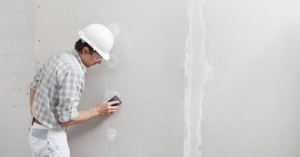 Best Attic Mold Removal  in Yorketown, NJ