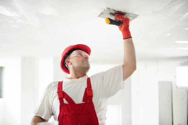 Best Post-Construction Mold Inspection  in Yorketown, NJ
