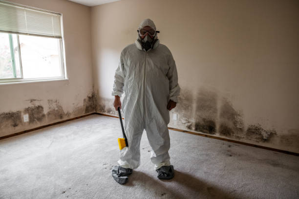 Yorketown, NJ Mold Removal Company